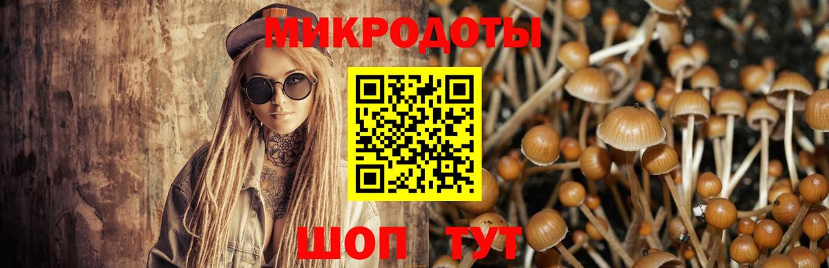 Мичуринск  Псилоцибиновые грибы ЛСД  Вход с VPN 