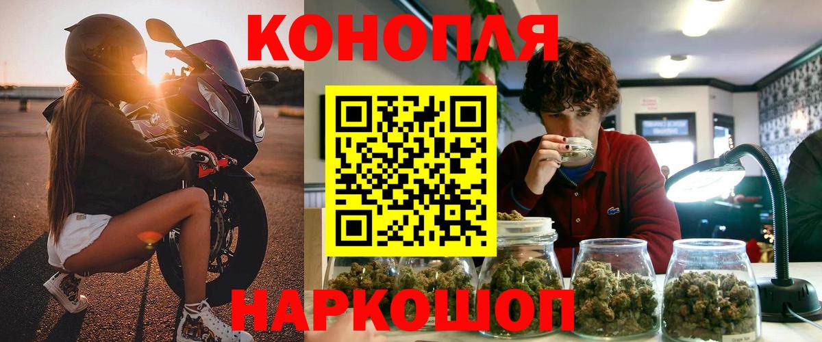 Канабис семена  Шишки марихуана Ganja  Конопля ГИДРОПОН  Мичуринск  Вход с VPN 